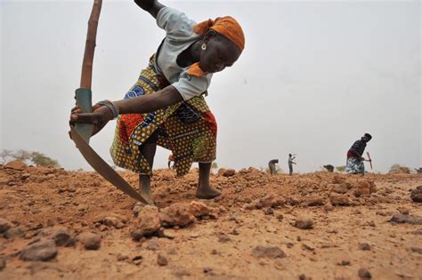 Niger Is Africa’s Fastest Growing Country — How To Feed 25 Million More People In 30 Years