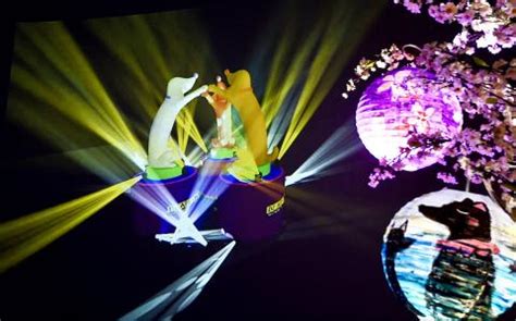 Take a stand in pyeongchang 2018 against the dog and cat meat trade! Taipei unveils main dog lantern design - Taipei Times