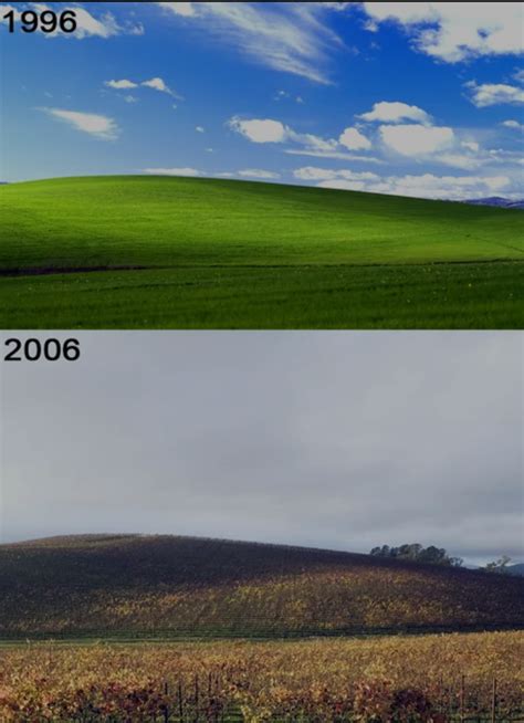 Windows Xp Bliss Wallpaper 19 Years Apart Rtheydidntdothemath