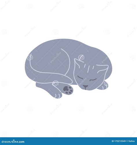 Sleeping Gray British Cat Curled Up Stock Vector Illustration Of Lazy
