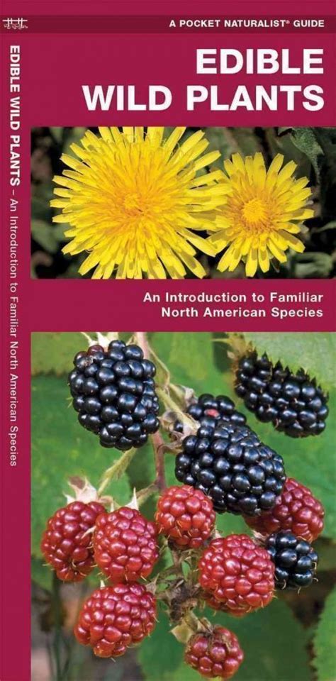 Outdoor Survival Tutor Guide Edible Wild Plants Waterproof Field Guide