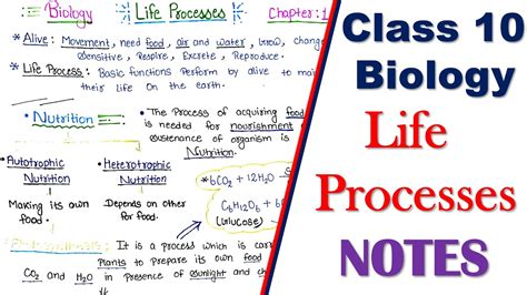 Class Biology Life Processes Notes Class Science Chapter Notes Osc Youtube