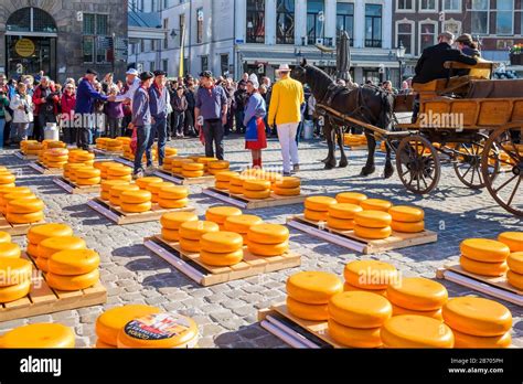Netherlands South Holland Gouda Cheese Market On Markt Square In