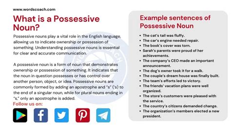 Possessive Noun Definition Rules Possessive Nouns Examples Nouns