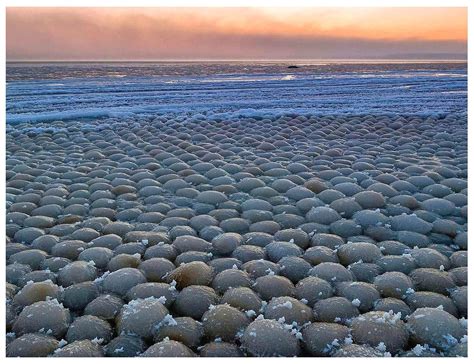 Frozen Ice Balls Of Lake Michigan And Stroomi Beach Picture 1