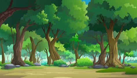 Forest Images Free Vectors Stock Photos And Psd