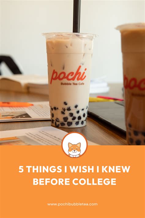 5 Things I Wish I Knew Before My First Year In College — Pochi Bubble