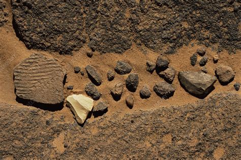 Flint Projectile Point Stock Image E4360193 Science Photo Library