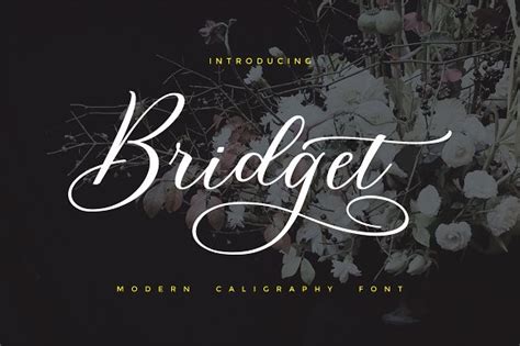Bridget Calligraphy Download Fonts