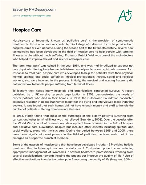 Hospice Care Narrative Example 400 Words
