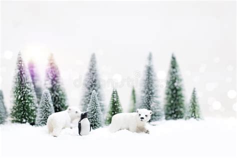 Christmas Polar And Grizzly Bears In Snowy Winter Forest Chris Stock