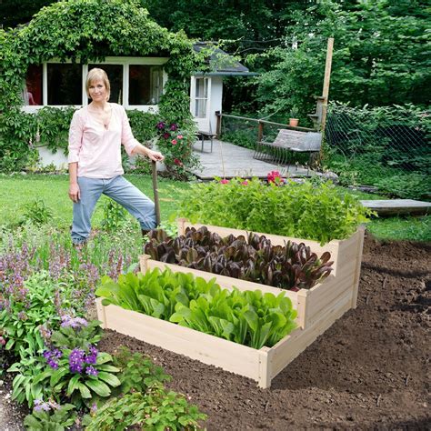 Wooden Raised Garden Bed Planter Box Backyard Vegetable Gardens