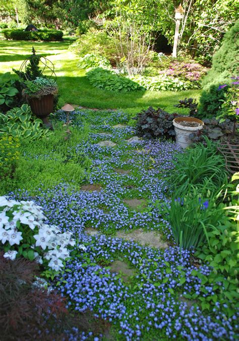 15 Beautiful Plants And Ground Cover For Garden Pathways Homemydesign