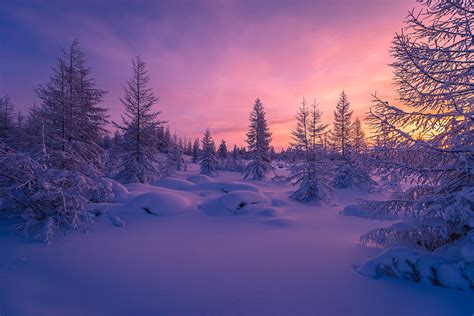 Pink Winter Sunset