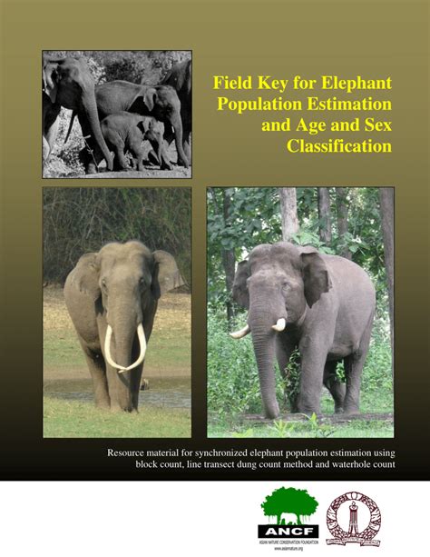 Pdf Field Key For Elephant Population Estimation And Age And Sex