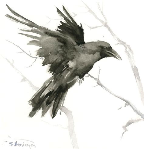 Flying Crow Raven Original Watercolor Painting 12 X 12 In Crow