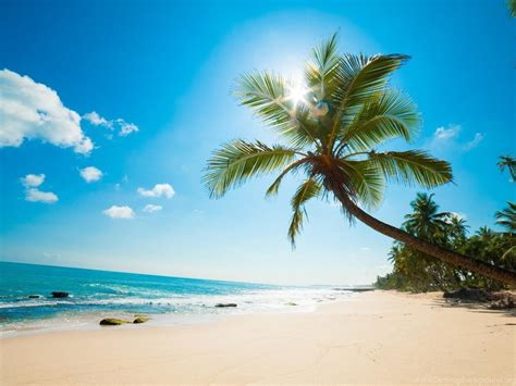 Sunny Beach Wallpapers Live Wallpaper For Pc 1024x768
