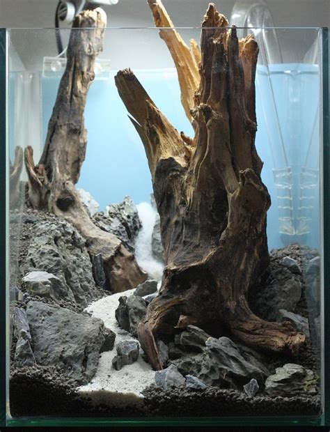 Aquascapes ™ is midwest tropical's answer to the desktop aquarium. Best Aquascaping Freshwater 130 | Aquarium driftwood ...