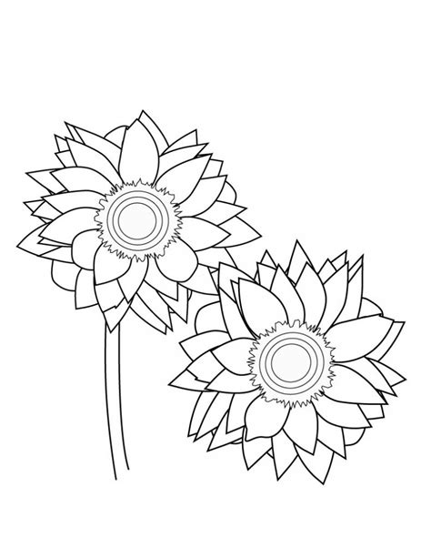 Where can i find free sunflower coloring pages? Free Printable Sunflower Coloring Pages For Kids