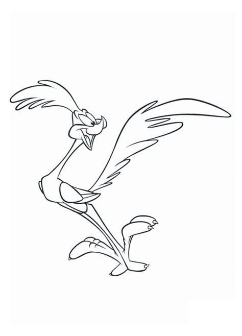 Looney Tunes Road Runner Coloring Page Download Print Or Color