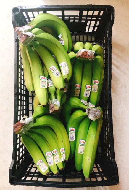 Organic Bananas Mahaffey Farms