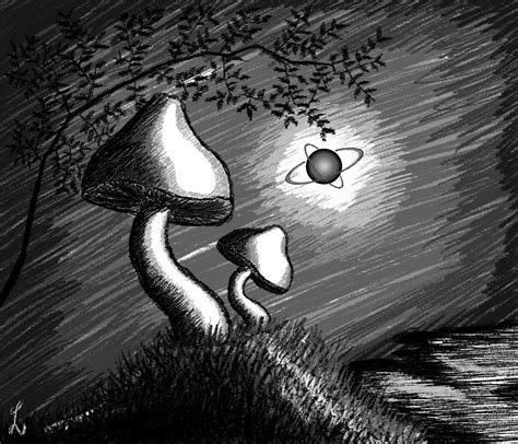 Magic Mushrooms By Absolutenow On Deviantart
