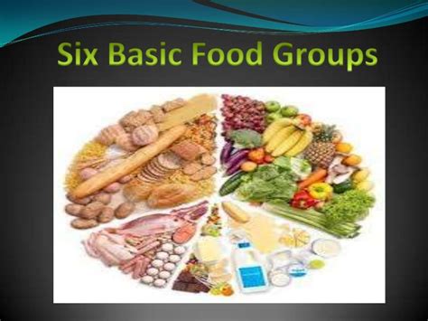 Six Basic Food Groups