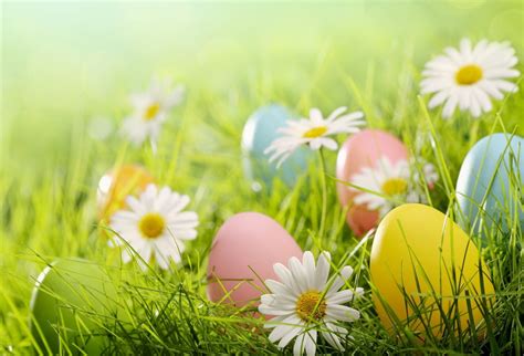 Easter And Spring Wallpapers Wallpaper Cave