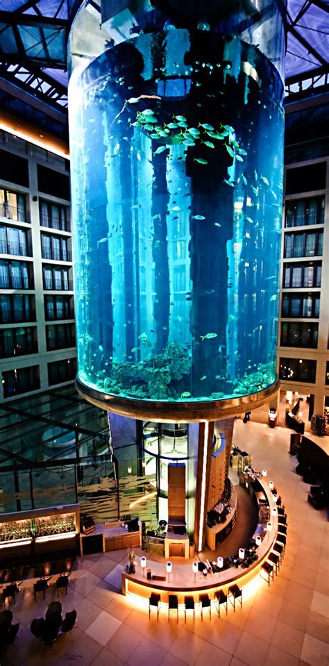aquadom radisson hotel aquarium berlin
