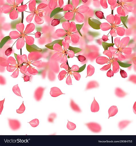 Pink Blossoming Cherry And Falling Petals Vector Image