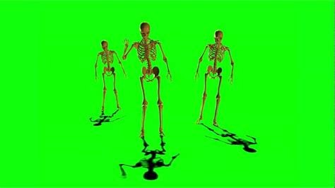 Green Skeleton  Effects Hd Skeleton Skeleton Walk Adobeafter