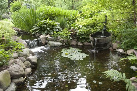 Aquascape Your Landscape Designing Your Dream Pond