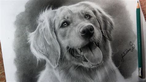 Como Dibujar Un Perro Realista🐶 Aprende A Hacer Pelaje Realista