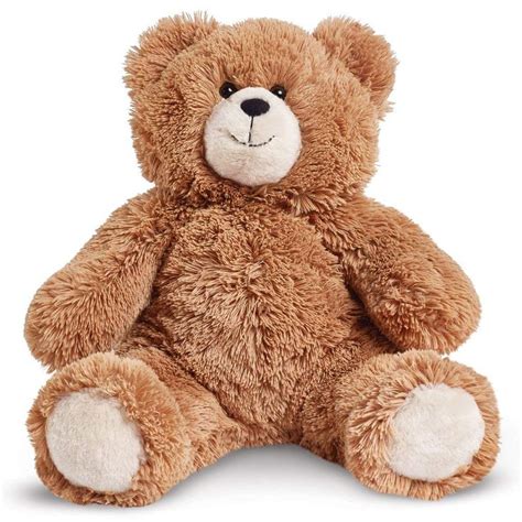 A Brown Teddy Bear Sitting Up Against A White Background