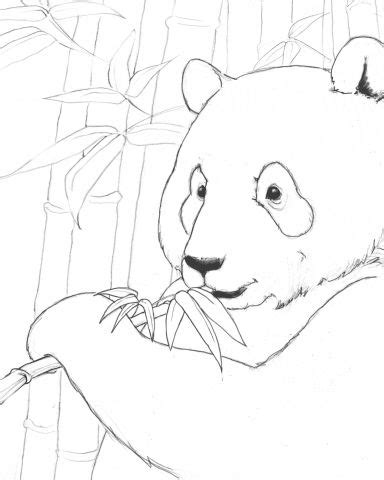 We've got all the popular animals to color including cats, dogs, farm animals, lions, birds, fish and so much more! Free Download — The Endangered Animals Coloring Book | Animal coloring books, Animal coloring ...