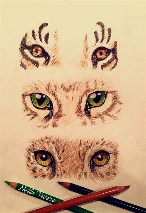 Глаза животных для срисовки 11 фото