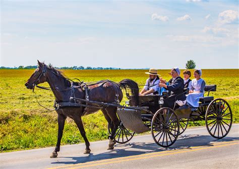 16 Things You Didnt Know About Amish People Matador Network