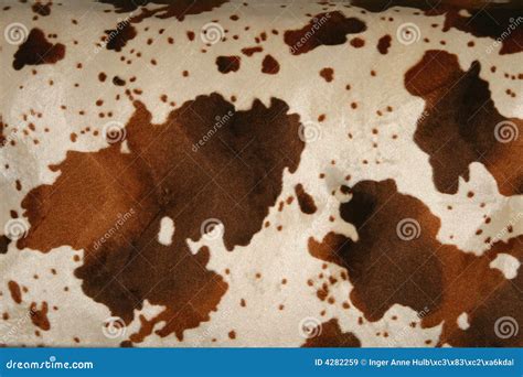 Cow Skin Fabric Royalty Free Stock Images Image 4282259