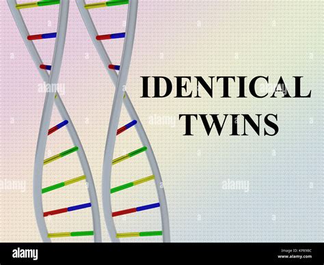 3d Illustration Of Identical Twins Script With Two Identical Pairs Of Dna Double Helix Stock
