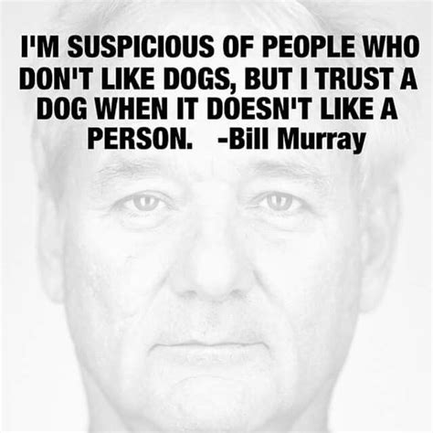 Bill murray is an american actor, comedian, and writer. Pin on Bill Murray
