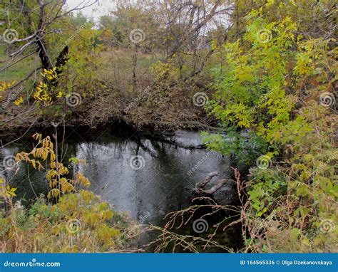 Autumn Landscape Of Flowing Water And Shores With Trees With Yellowed