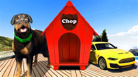 Gta 5 Chop Upgrades His House Millionaire Mod Youtube
