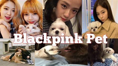 View Jennie Blackpink Dogs Pics ~ Jisoo Blackpink Profile Pictures
