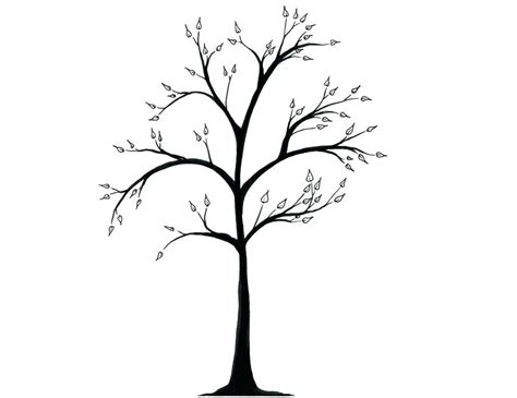 Willow Tree Drawing Free Download On Clipartmag