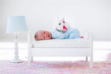 Little Baby Sleeping In Toy Bed With Pat Bunny Stock Photo Image Of