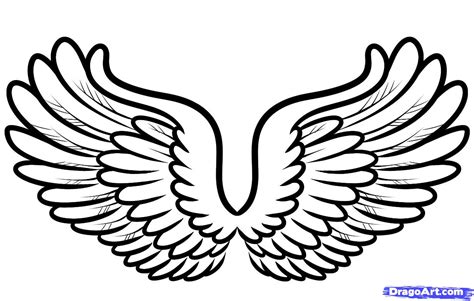 Simple Wing Drawings Free Download On Clipartmag