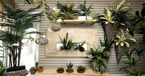 Myth About Artificial Plants Are Very Expensive: Real or Not
