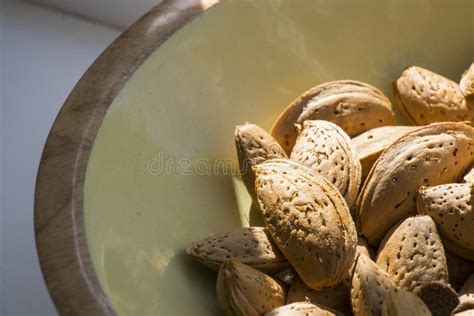Almond Close Up Almond With Shell Stock Photo Image Of Vegan