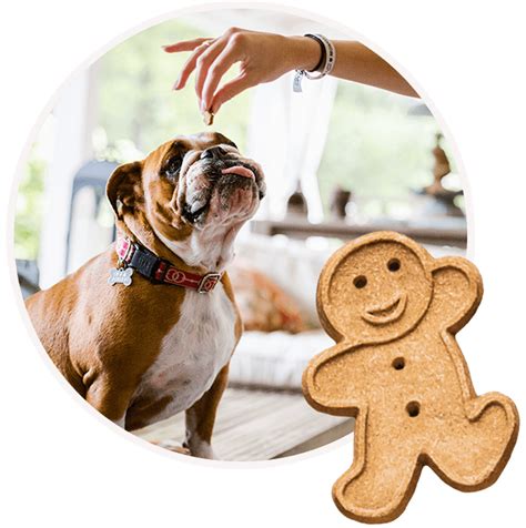 We packed them with flavor and simple ingredients, so you'll love them as much as your dog does. About Buddy - Buddy Biscuit's Dog Treats