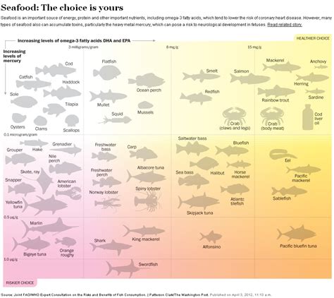 Seafood The Choice Is Yours Mercury In Fish Fish Infographic Seafood